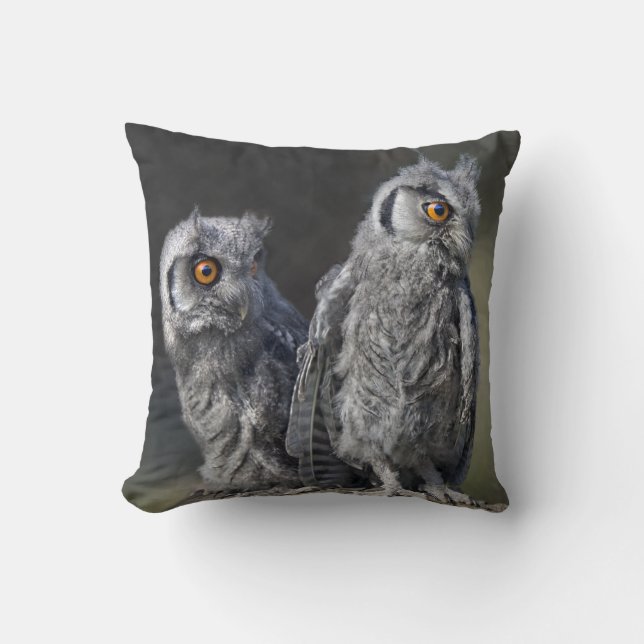 Almohada de búhos bebés (Anverso)