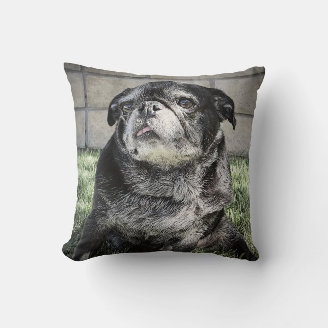 Almohada de Bumblesnot (Anverso)