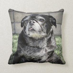 Almohada de Bumblesnot