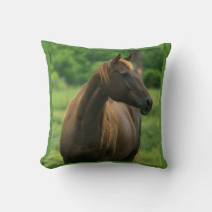 Almohada de caballo de castaño