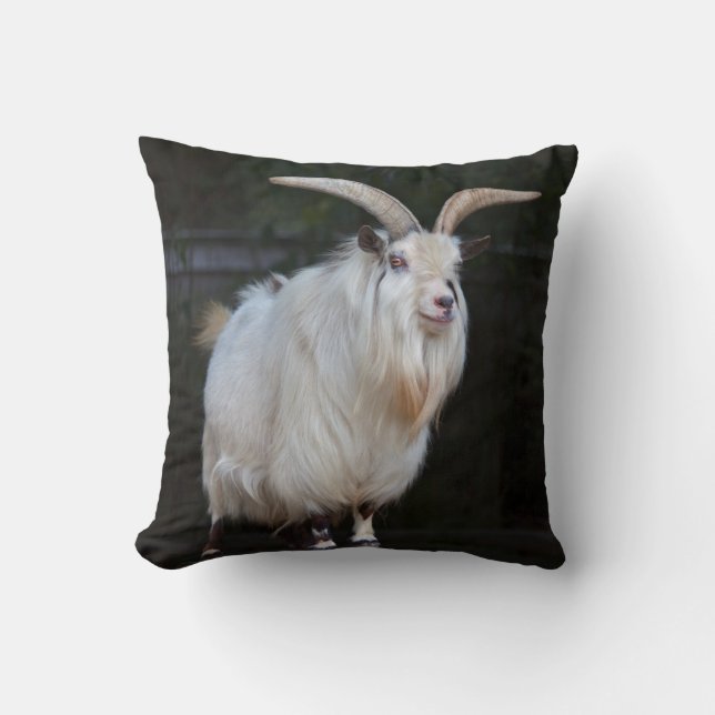 Almohada de Cabra Pygmea Africana (Anverso)