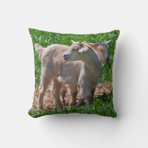 Almohada de cabritos enanos