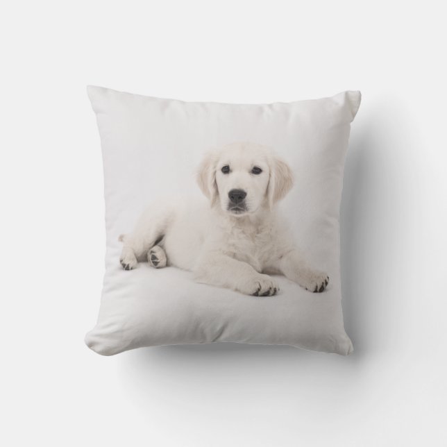 Almohada de cachorro de perro de Golden Retriever (Anverso)