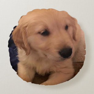 Almohada de cachorro dorada