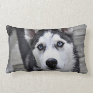 Almohada de cachorro Husky