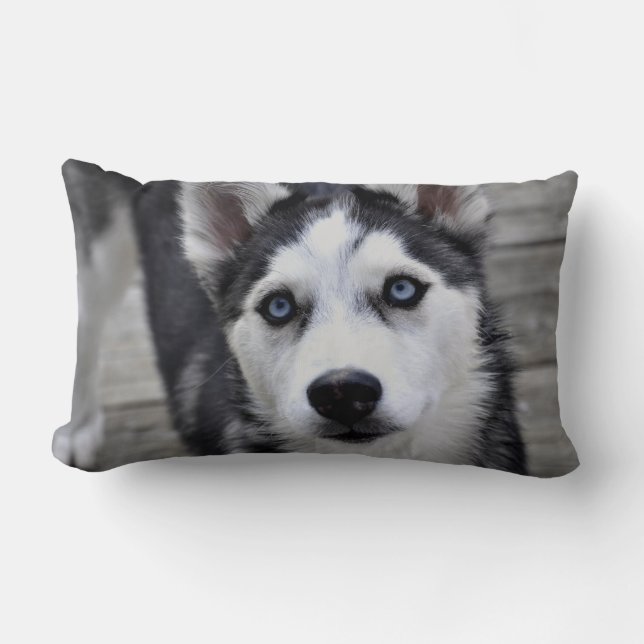 Almohada de cachorro Husky (Anverso)