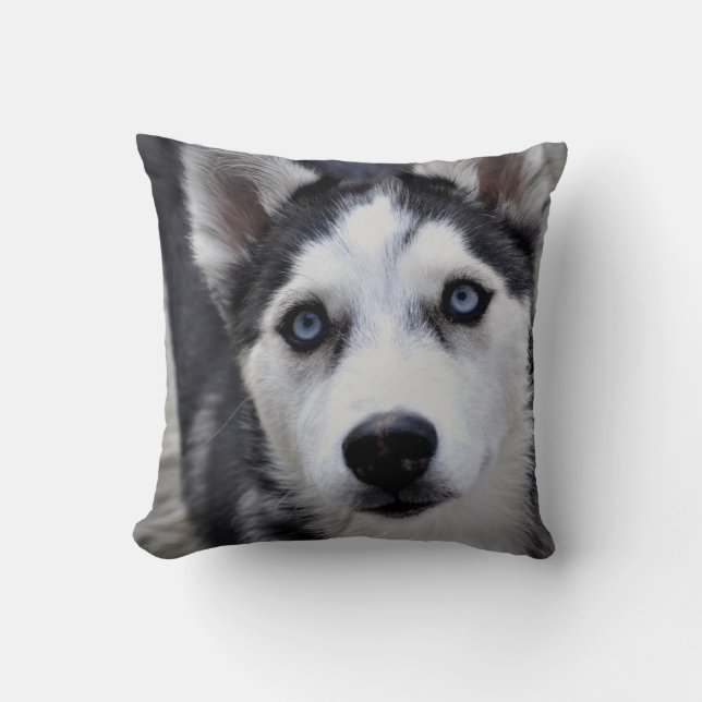 Almohada de cachorro Husky (Anverso)