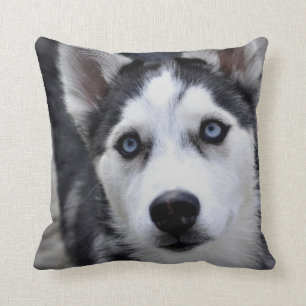 Almohada de cachorro Husky