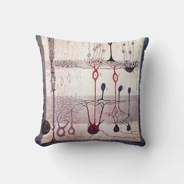 Almohada de Cajal (Anverso)