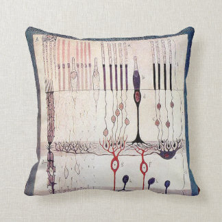 Almohada de Cajal