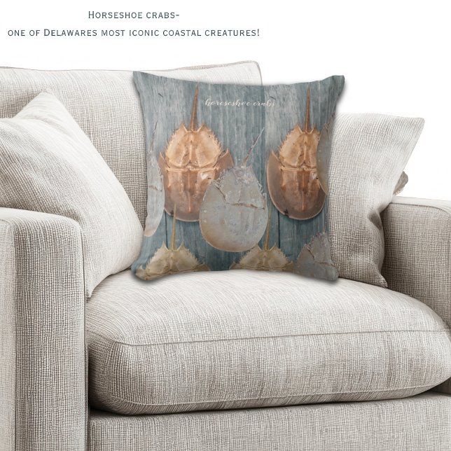 Almohada de cangrejo herradura de Delaware – Decor (Horeshoe crabs are one of the most iconic coastal creatures in DE! Two sided decorative pillow!)