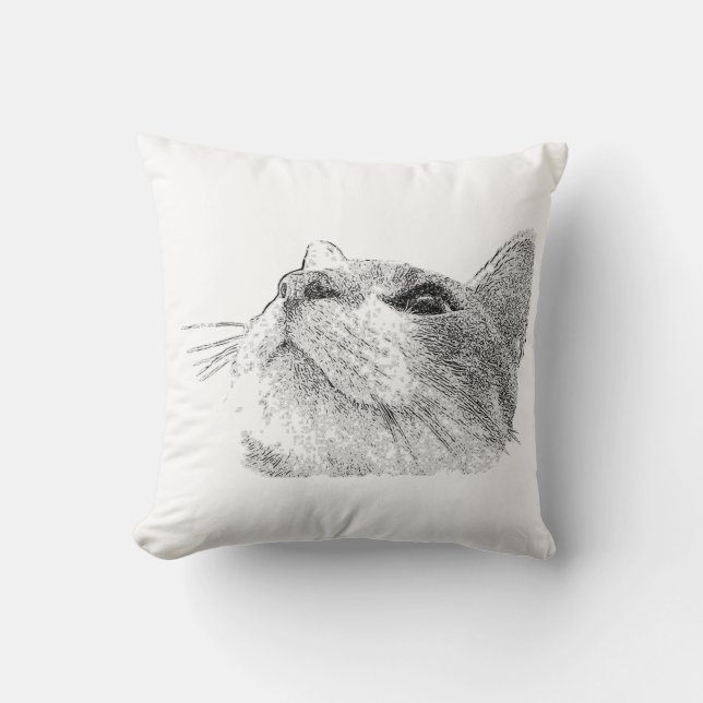almohada de Cat Up (Anverso)