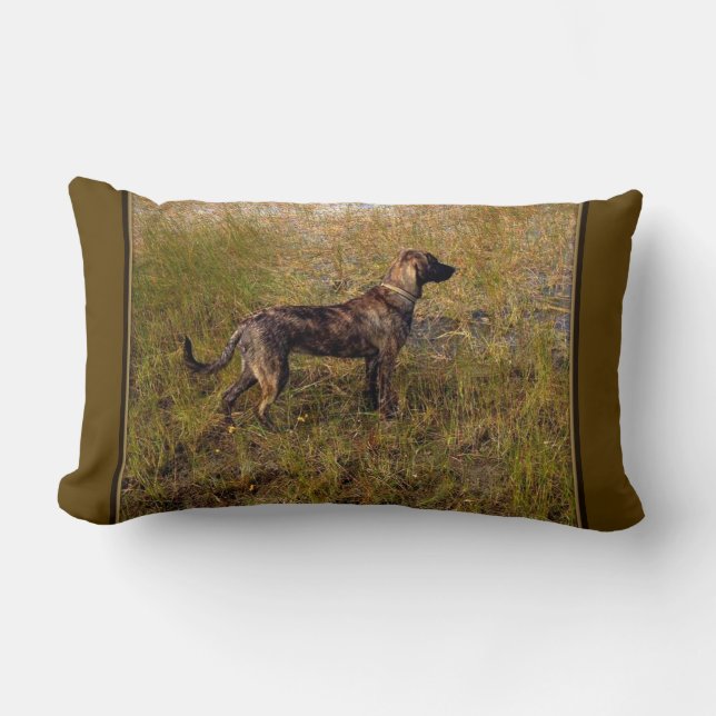 Almohada de caza Plott Hound (Anverso)