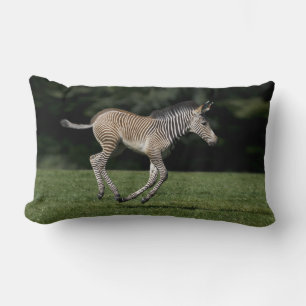 Almohada de cebra bebé