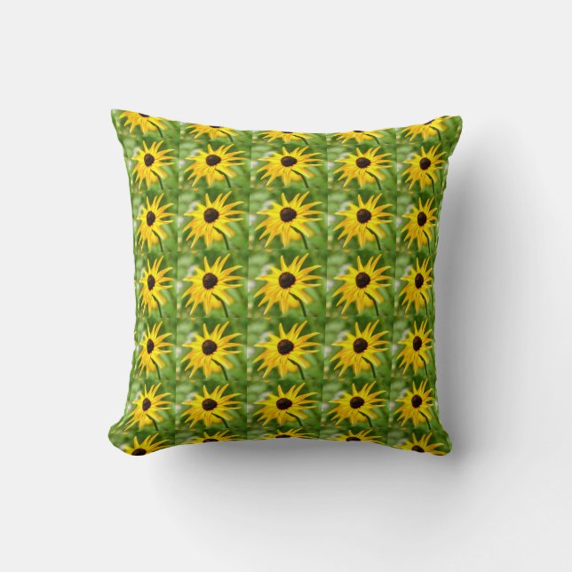 almohada de centolla de ojos negros (Anverso)