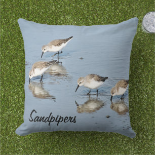 Almohada de chorlito de reflejo de pájaro del océa