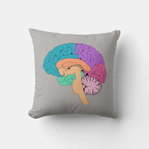 Almohada de ciencia de medio cerebro