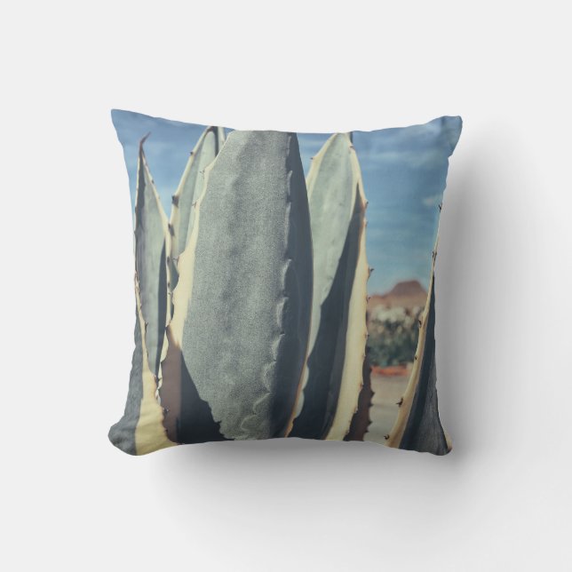 Almohada de cojín de hojas de aloe verde suculenta (Anverso)