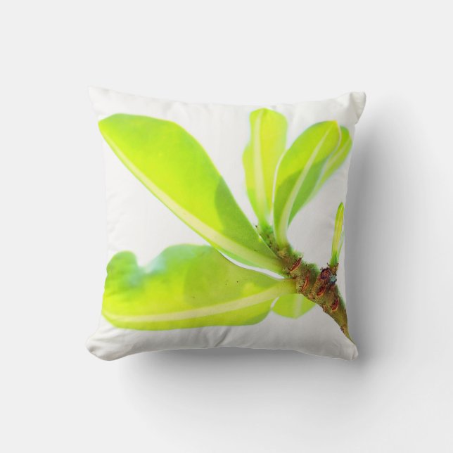Almohada de cojín de hojas de lirio Kudu verde bri (Anverso)