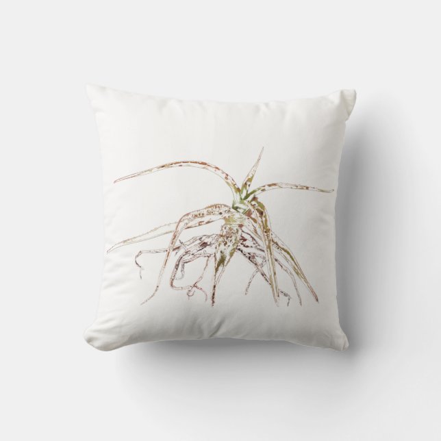 Almohada de cojín de planta suculenta de aloe esti (Anverso)