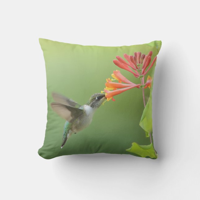 Almohada de Colibrí y Madreselva (Anverso)
