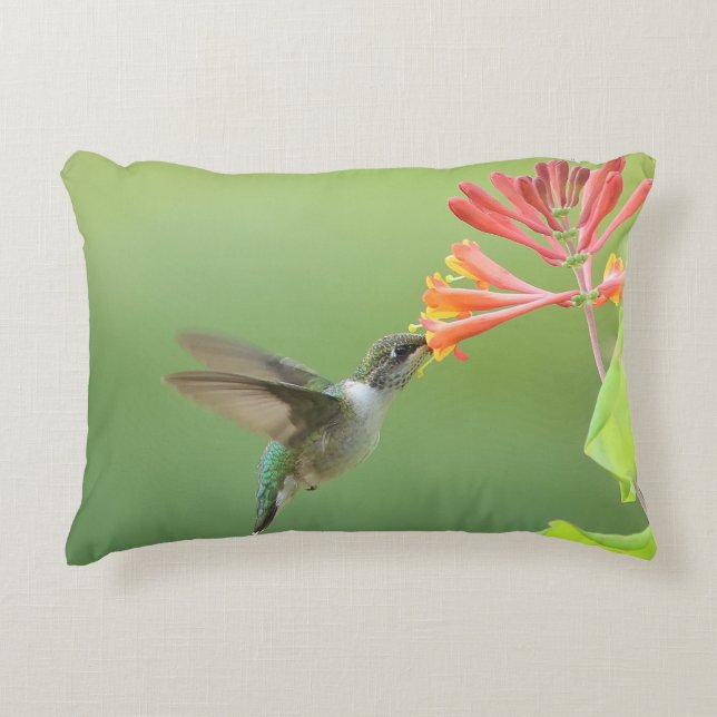 Almohada de Colibrí y Madreselva Coral (Anverso)