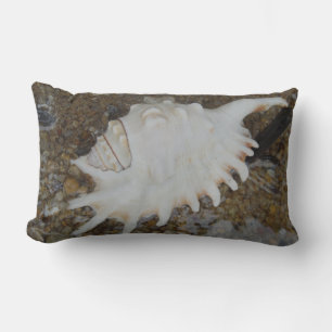 almohada de conchas