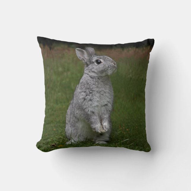Almohada de conejito bebé lindo (Anverso)