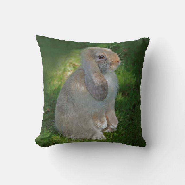 Almohada de conejo Minilop bebé (Anverso)