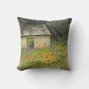 Almohada de cottage mágico en el campo