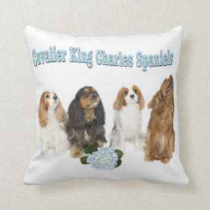 Almohada de cuatro Cavalier King Charles Spaniels