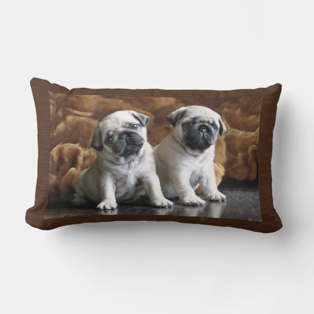 Almohada de dos barros amasados (Anverso)