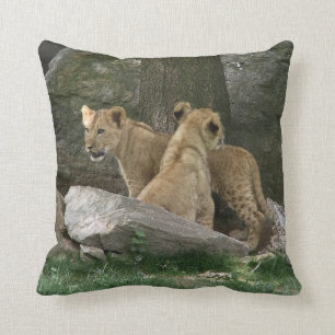 Almohada de exploración de Cubs de león