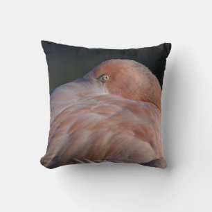 Almohada de flamenco durmiendo