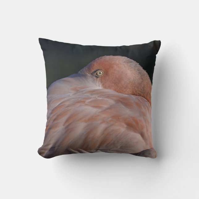 Almohada de flamenco durmiendo (Anverso)