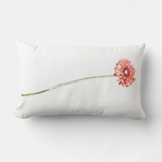 Almohada de Flor de Gerbera Crisantemo Rosa Pálido (Anverso)