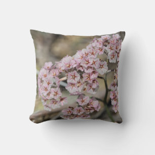 Almohada de Flor de Lavanda de Mar / Statice