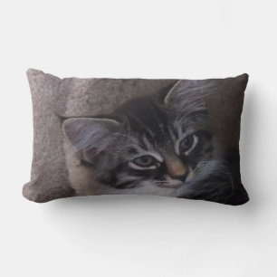 Almohada de gatito suave