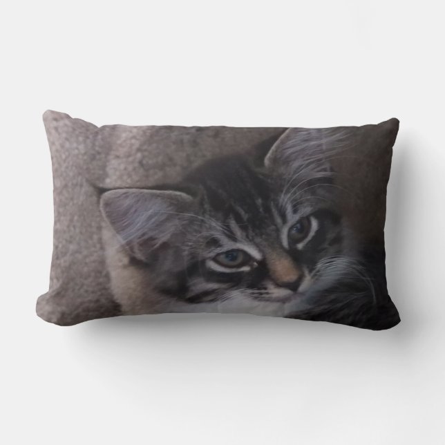 Almohada de gatito suave (Anverso)