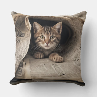 Almohada de gato fatastick