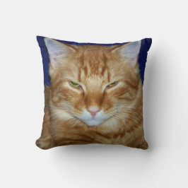 Almohada de gato gruñón - Cojín de gato Maine Coon