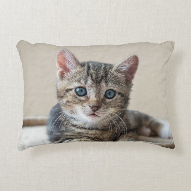 Almohada de gato suave (Anverso)