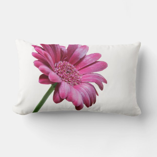 Almohada de Gerbera Daisy (Anverso)