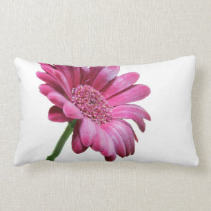 Almohada de Gerbera Daisy