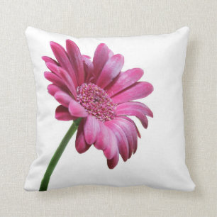 Almohada de Gerbera Daisy