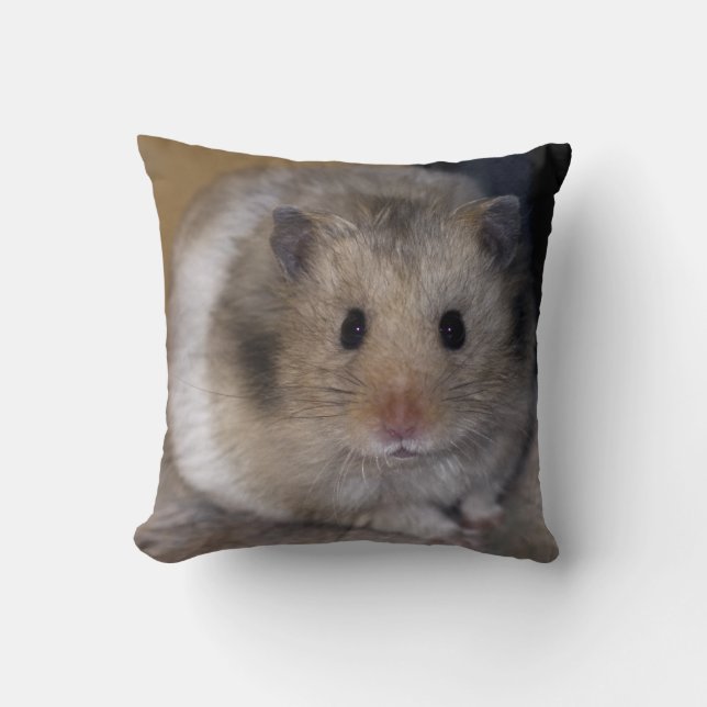 Almohada de Hammie (Anverso)