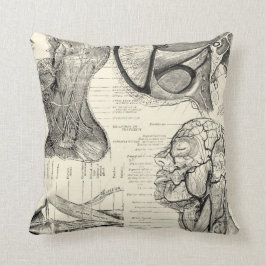 Almohada de ilustración de anatomía