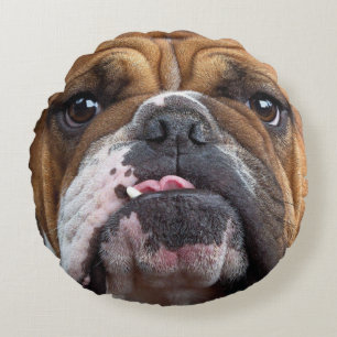 Almohada de inglés bulldog