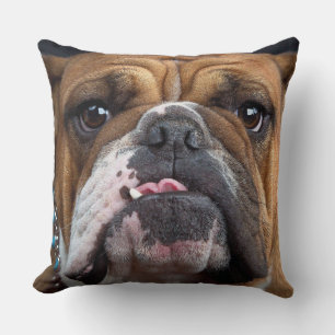 Almohada de inglés bulldog