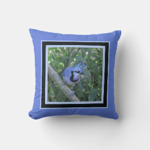 almohada de Jay azul, enmarcada en azul oscuro y c